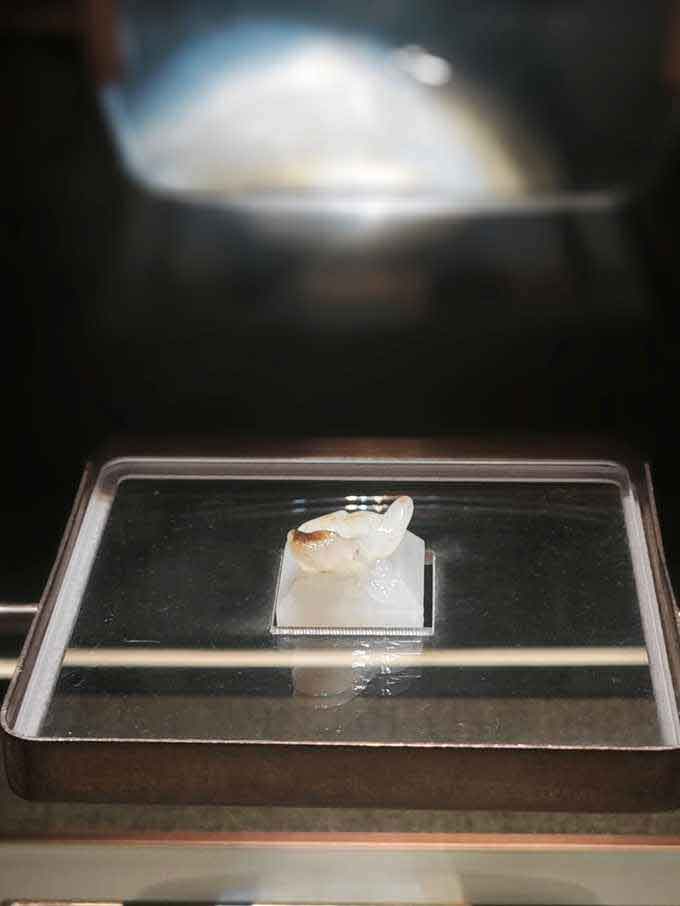 海昏