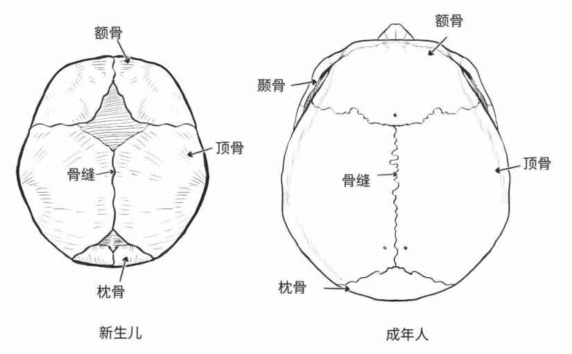 超正经凶案调查