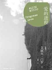 爱的进程