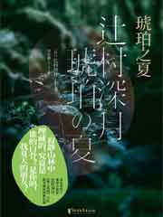 琥珀之夏