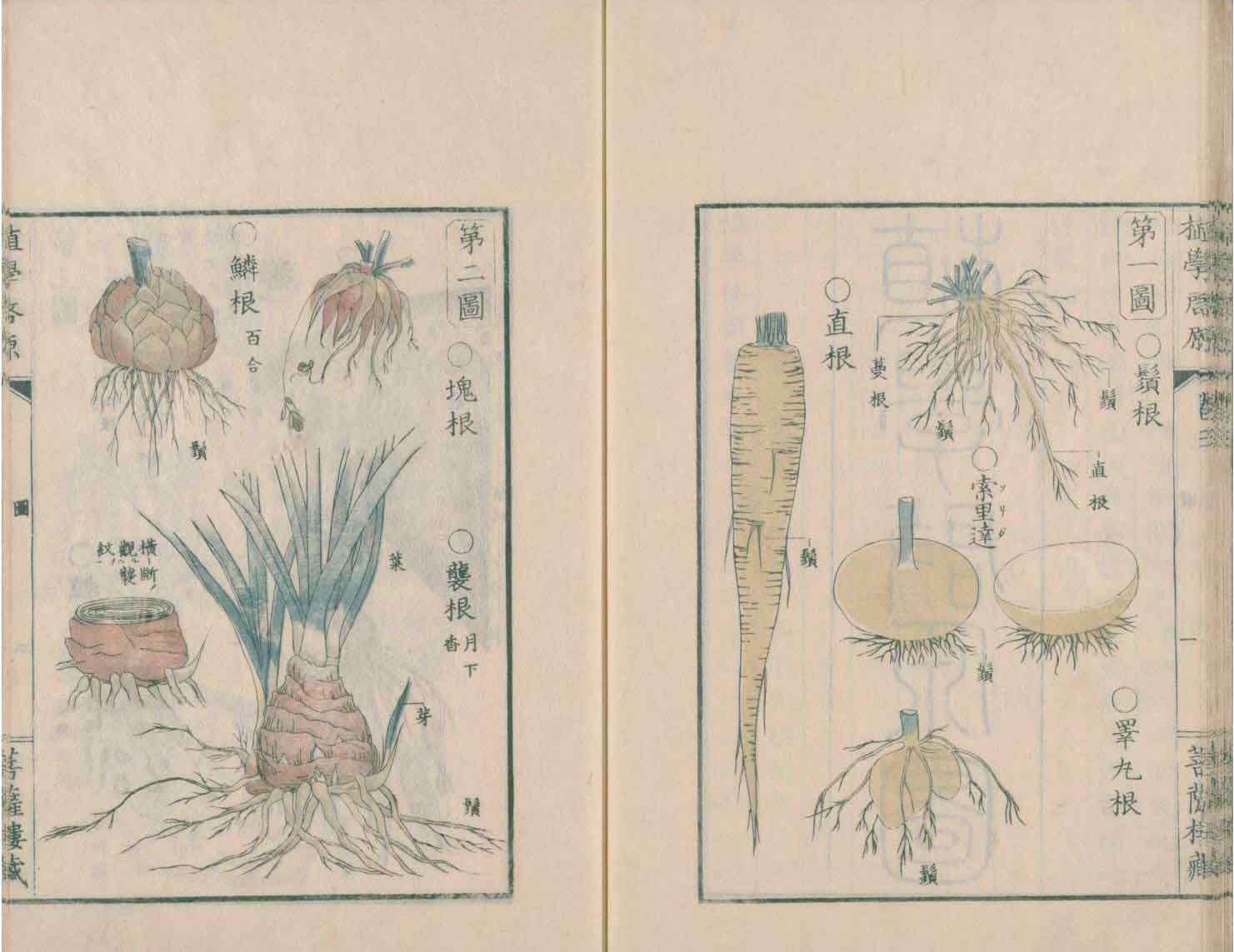 江户时代江户城