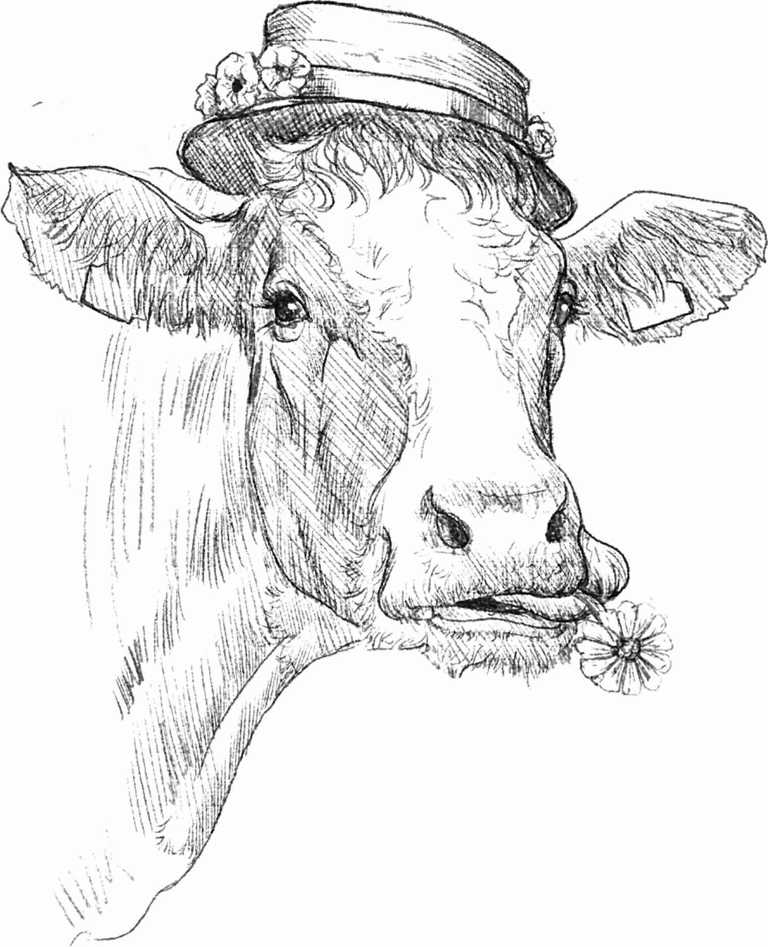 克拉克森的农场