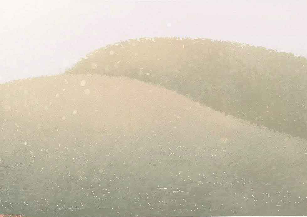 茫然尘世的珍宝