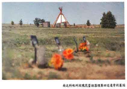 美国路人
