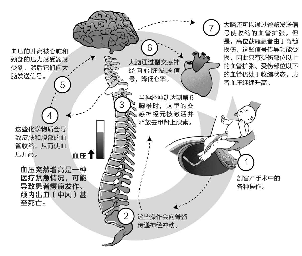 命悬一线我不放手