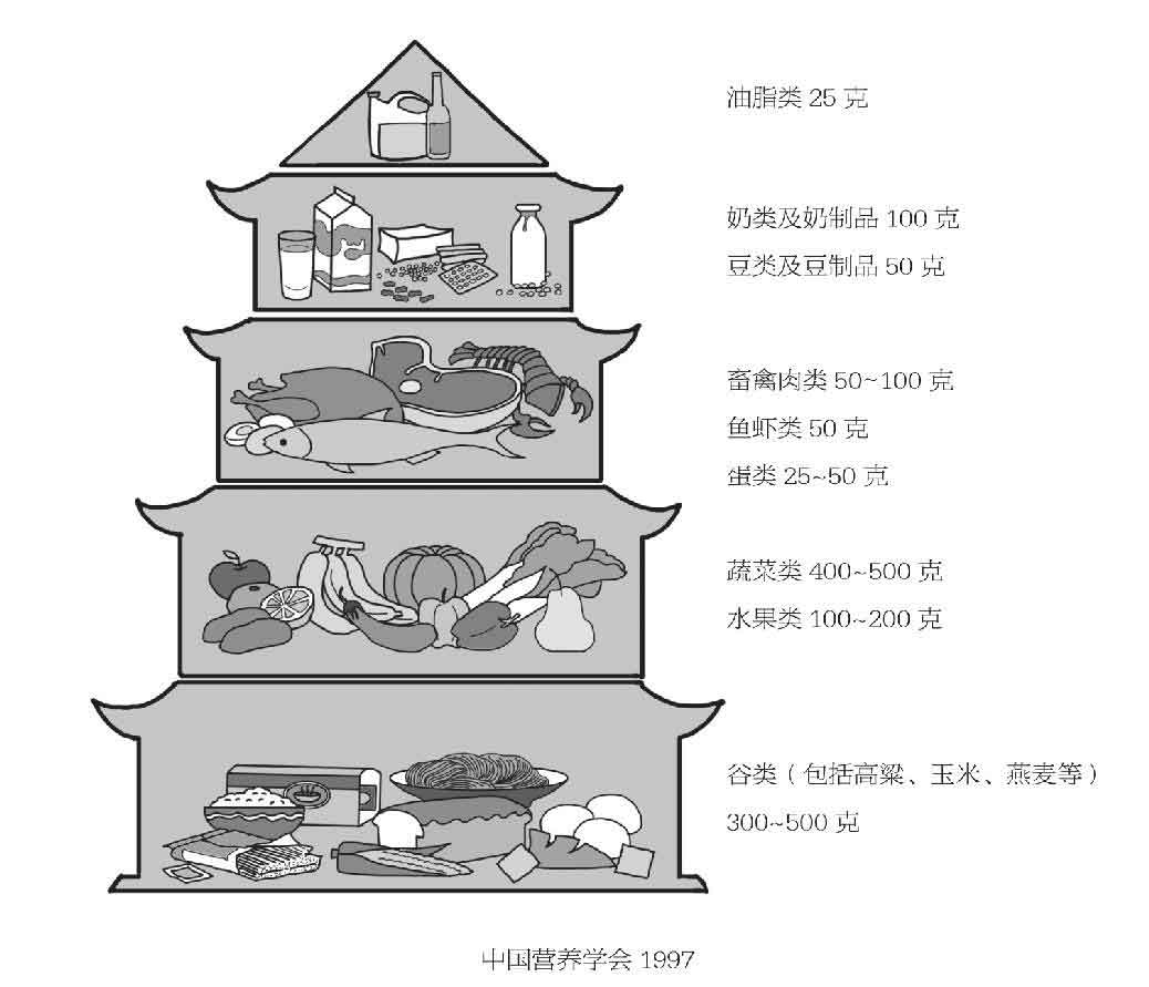 你是你吃出来的