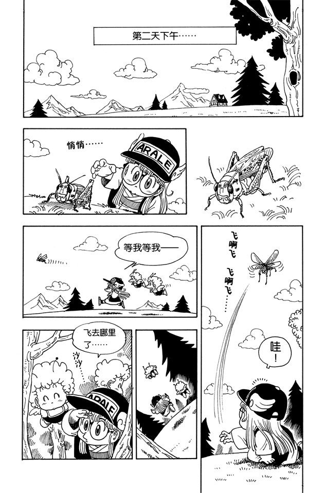 阿拉蕾