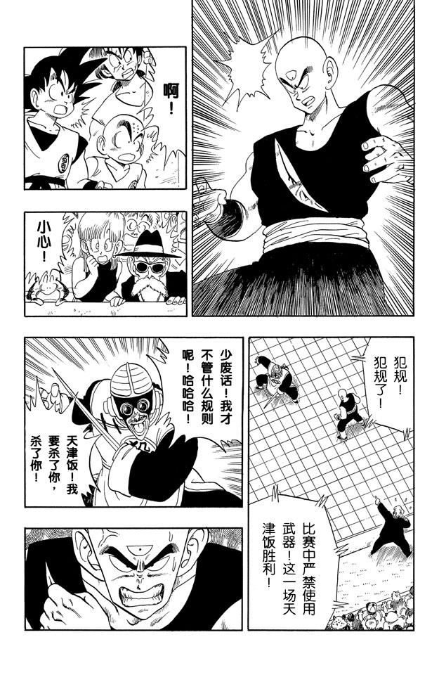 龙珠