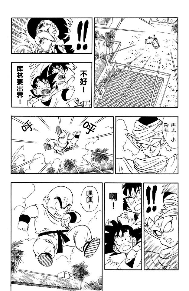 龙珠