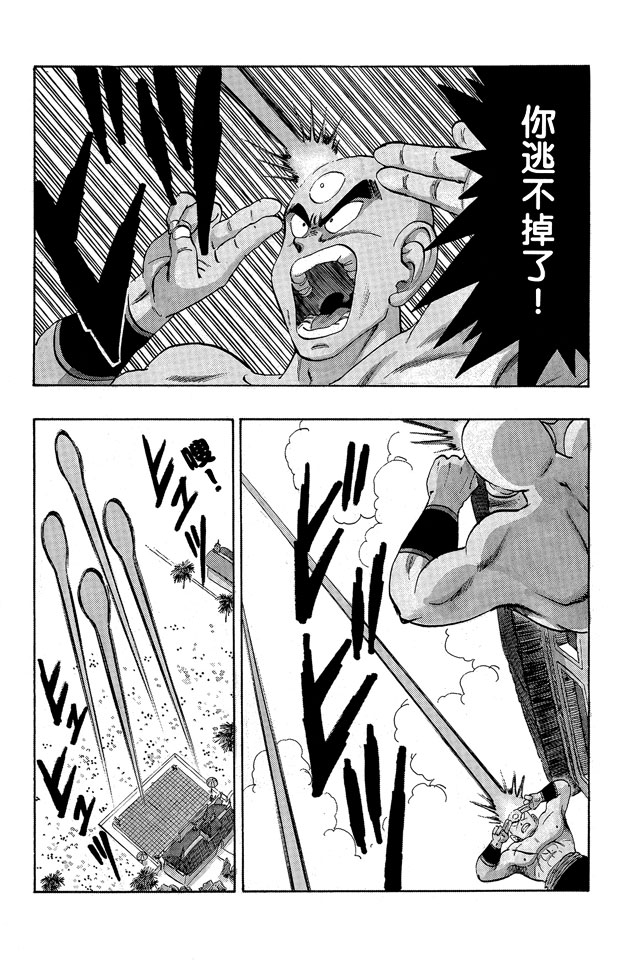 龙珠