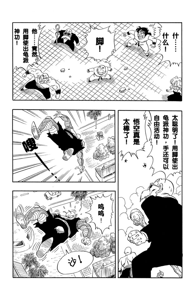 龙珠