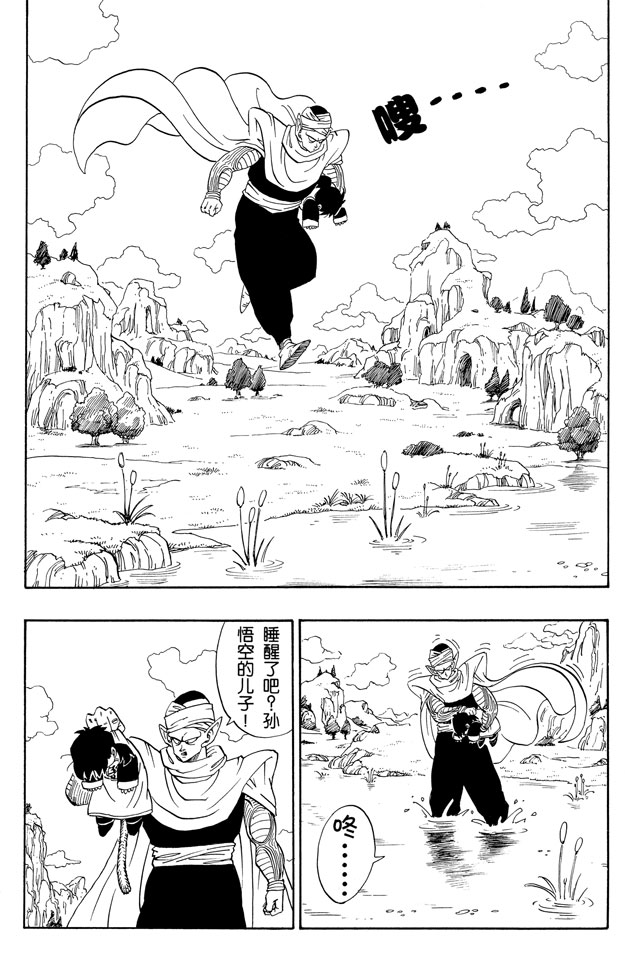 龙珠