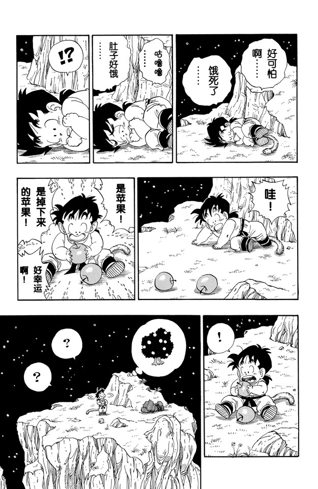 龙珠