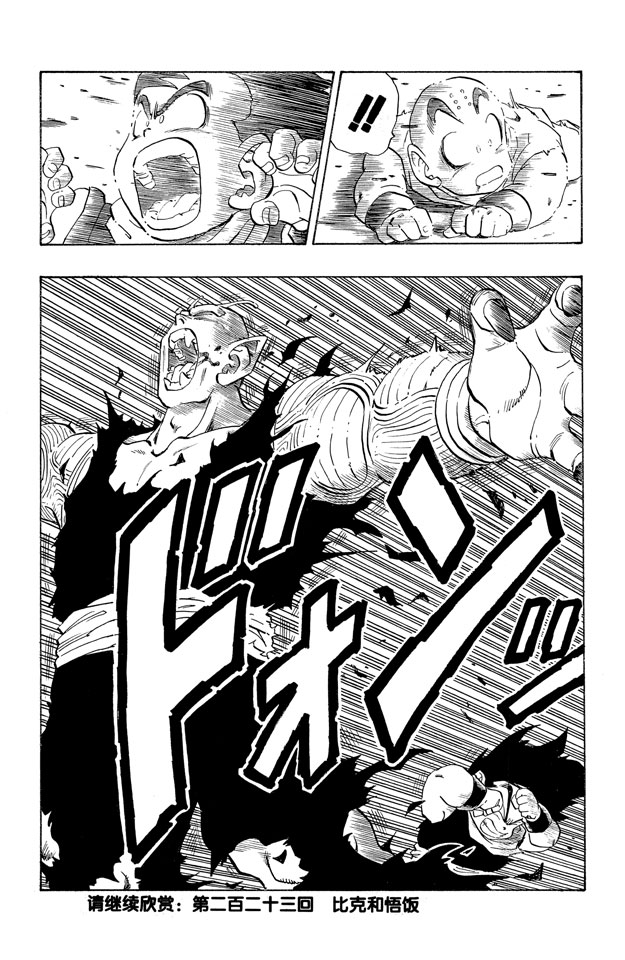 龙珠