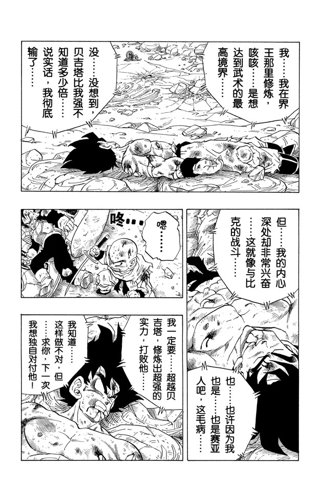 龙珠