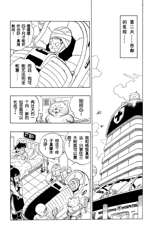 龙珠