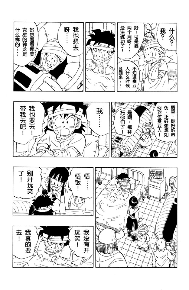 龙珠