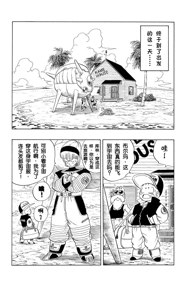 龙珠