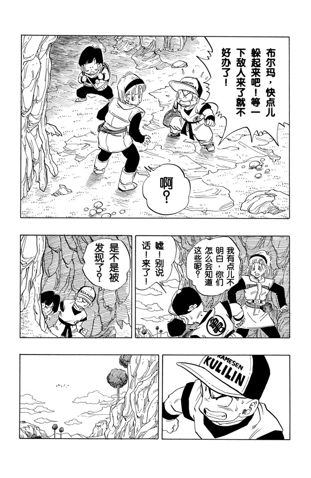 龙珠
