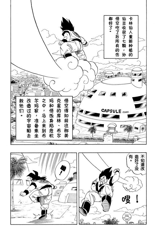 龙珠
