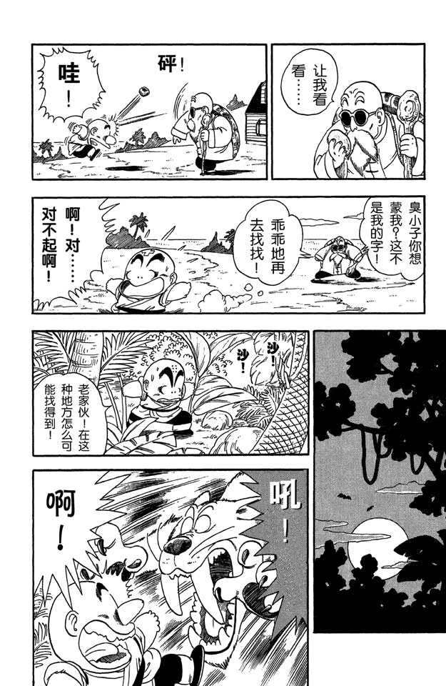 龙珠