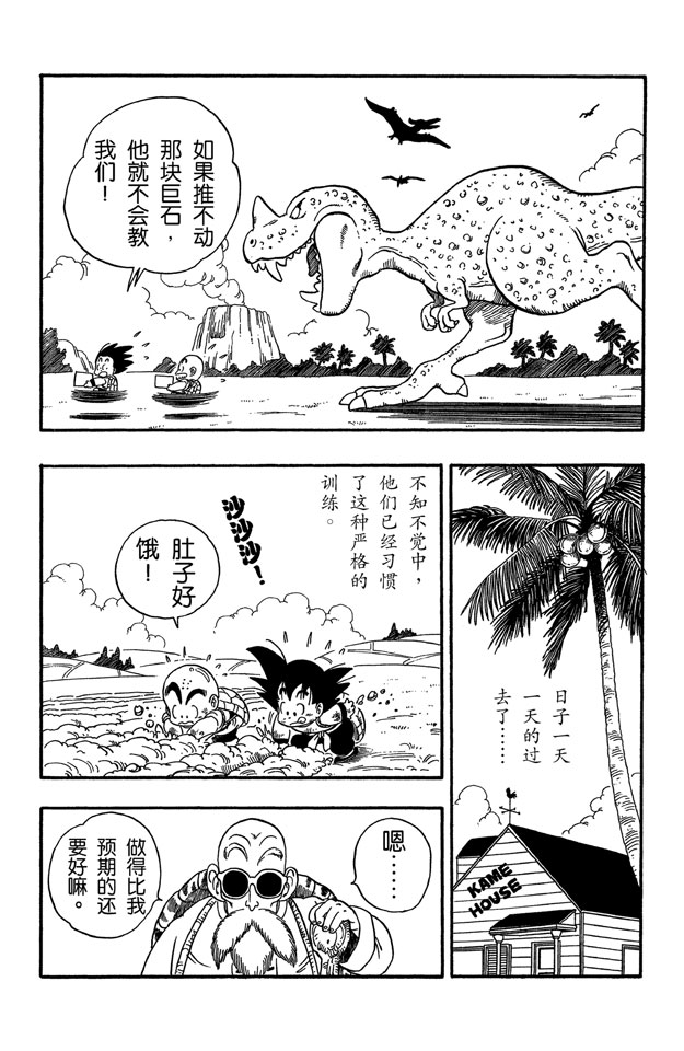 龙珠