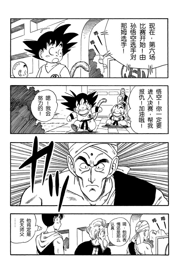 龙珠