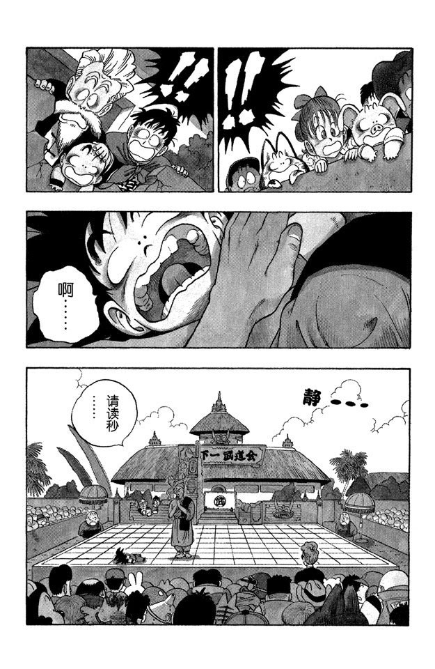 龙珠