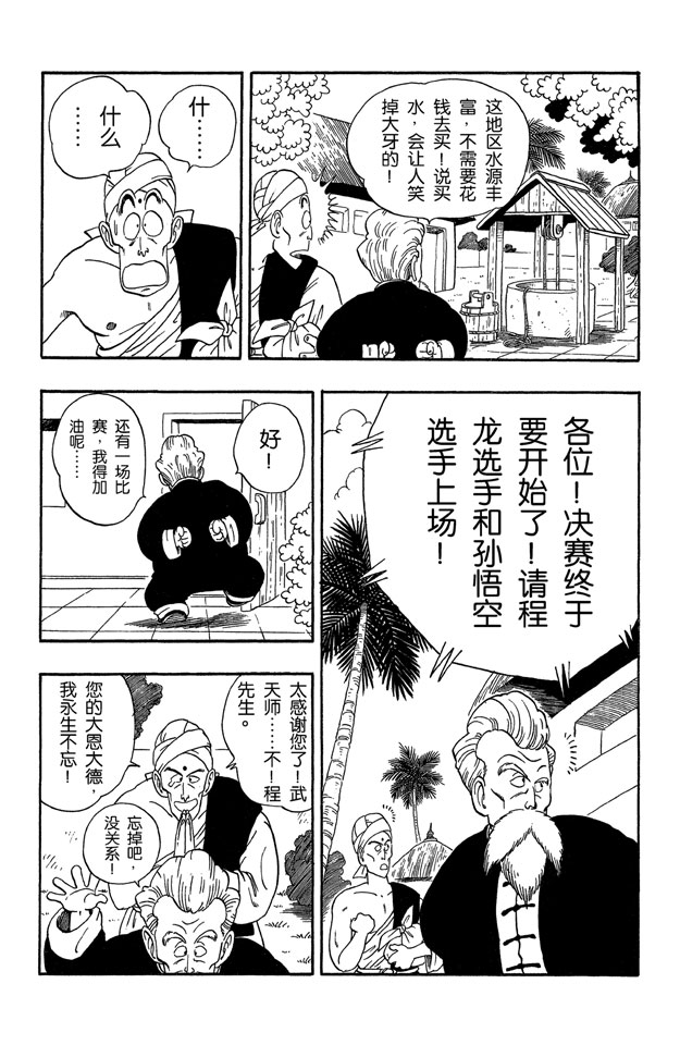 龙珠