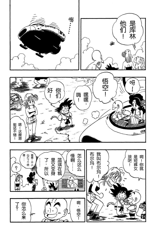 龙珠