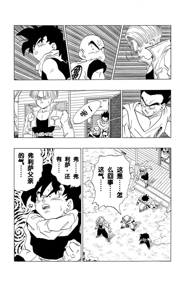 龙珠