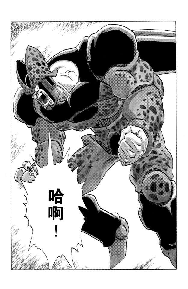 龙珠