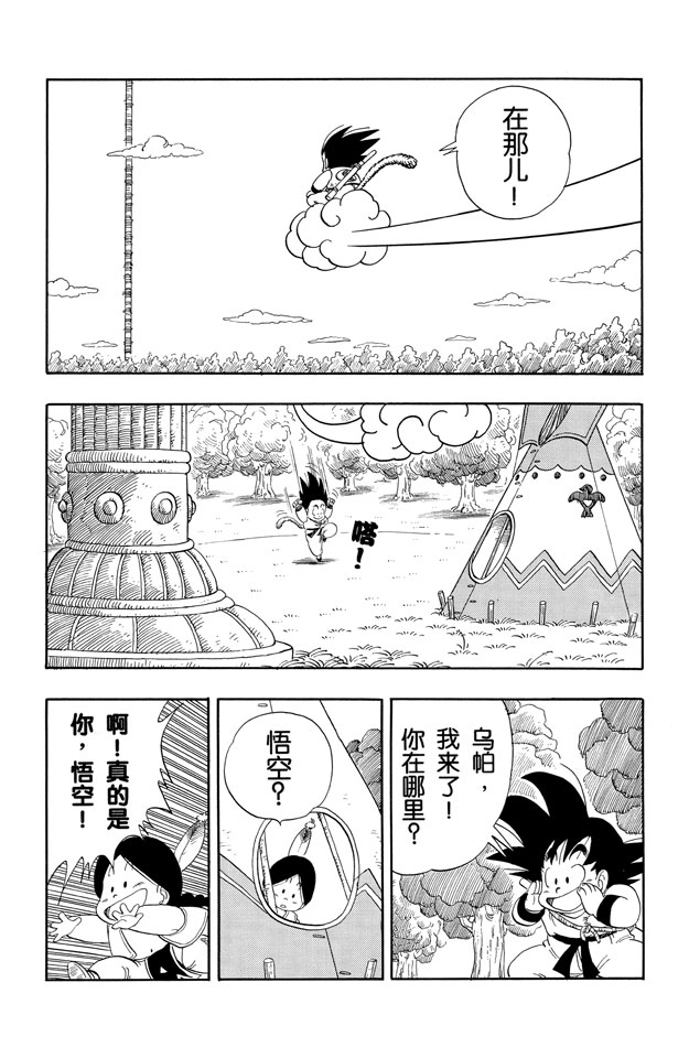 龙珠