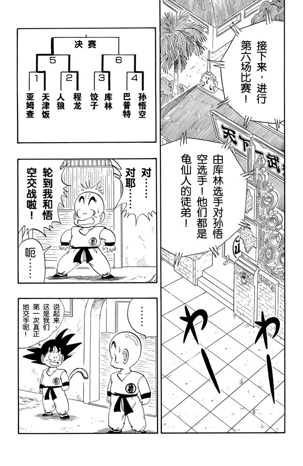 龙珠