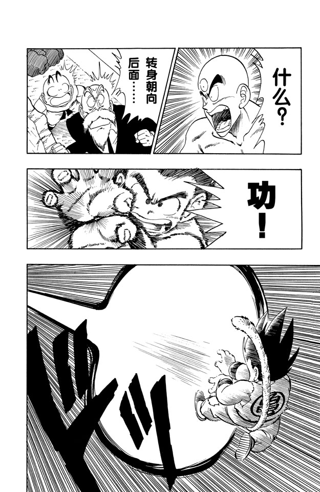 龙珠