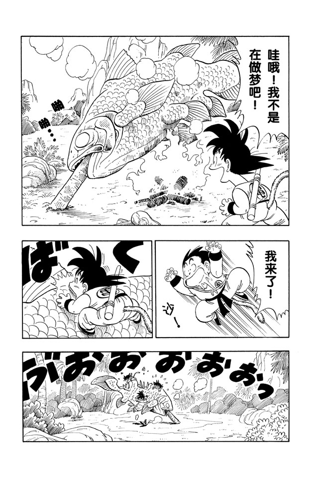 龙珠