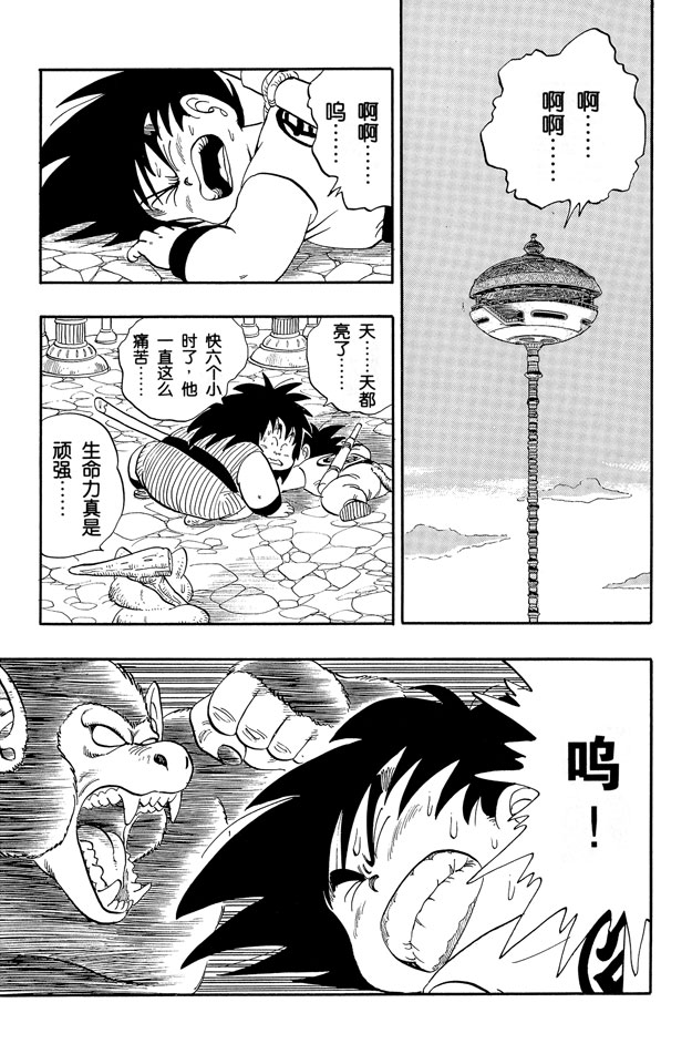 龙珠