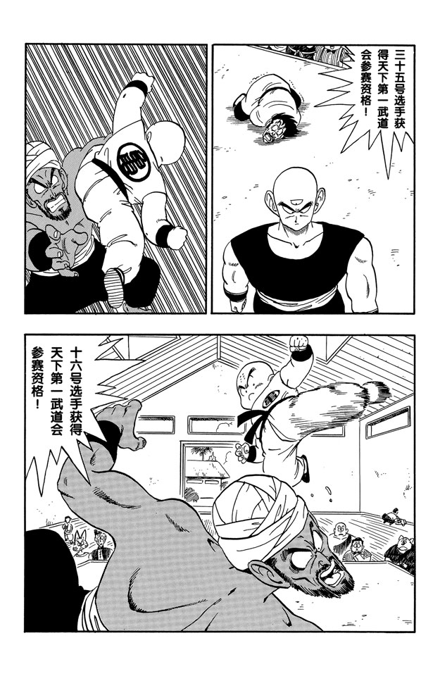 龙珠