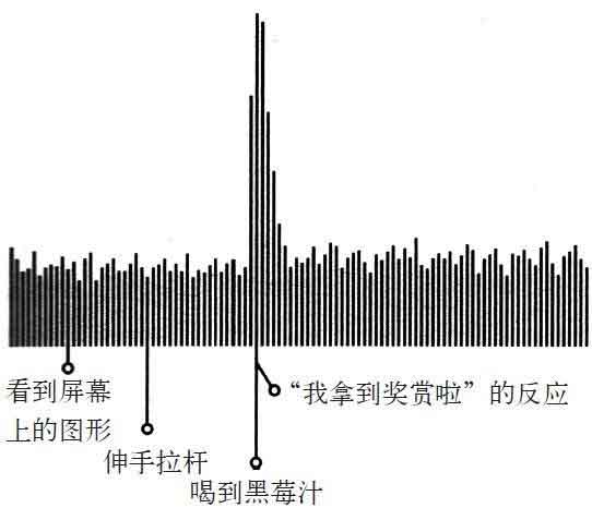 习惯的力量