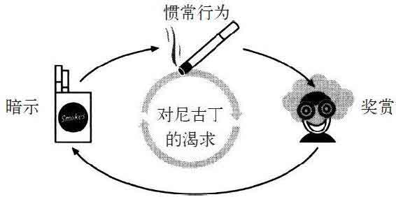 习惯的力量