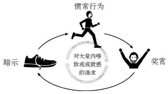 习惯的力量