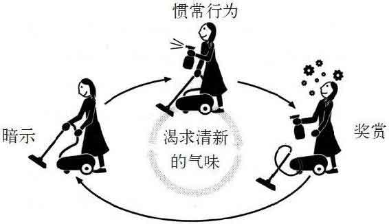 习惯的力量