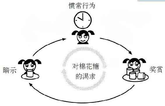 习惯的力量