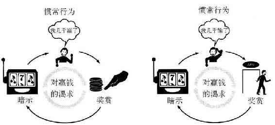 习惯的力量