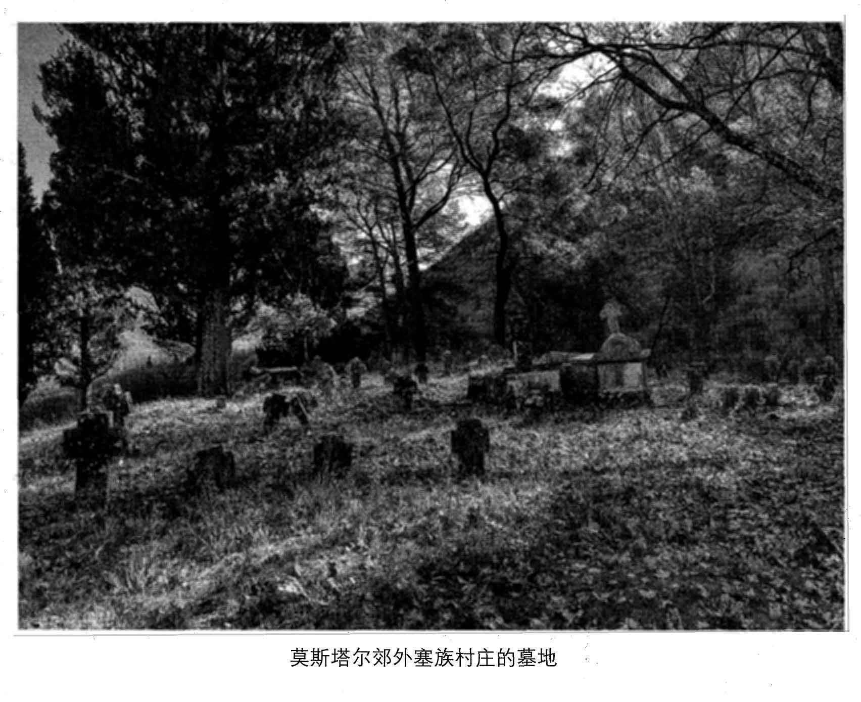 血与蜜之地