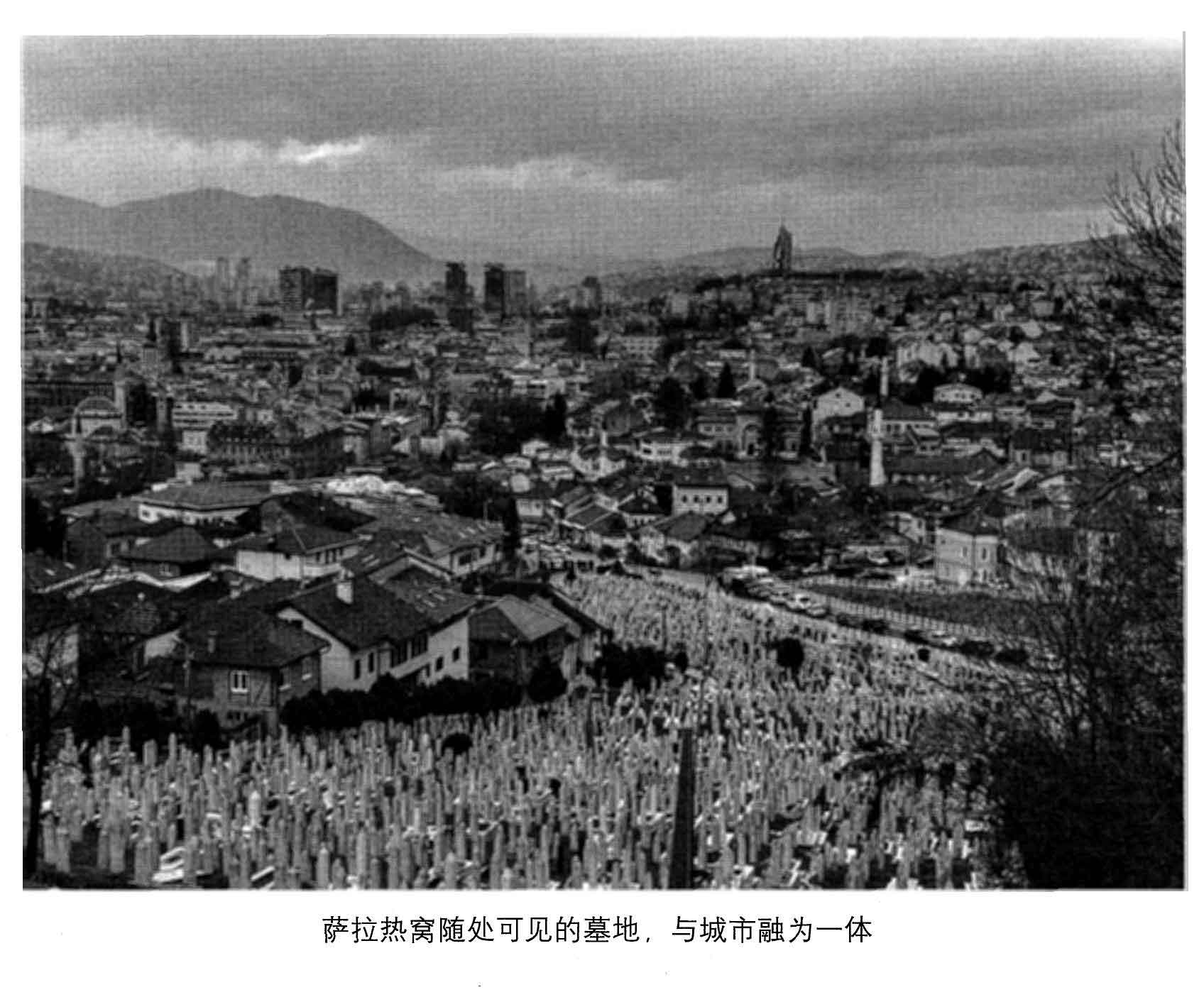 血与蜜之地