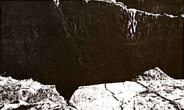 哲学家的最后一课