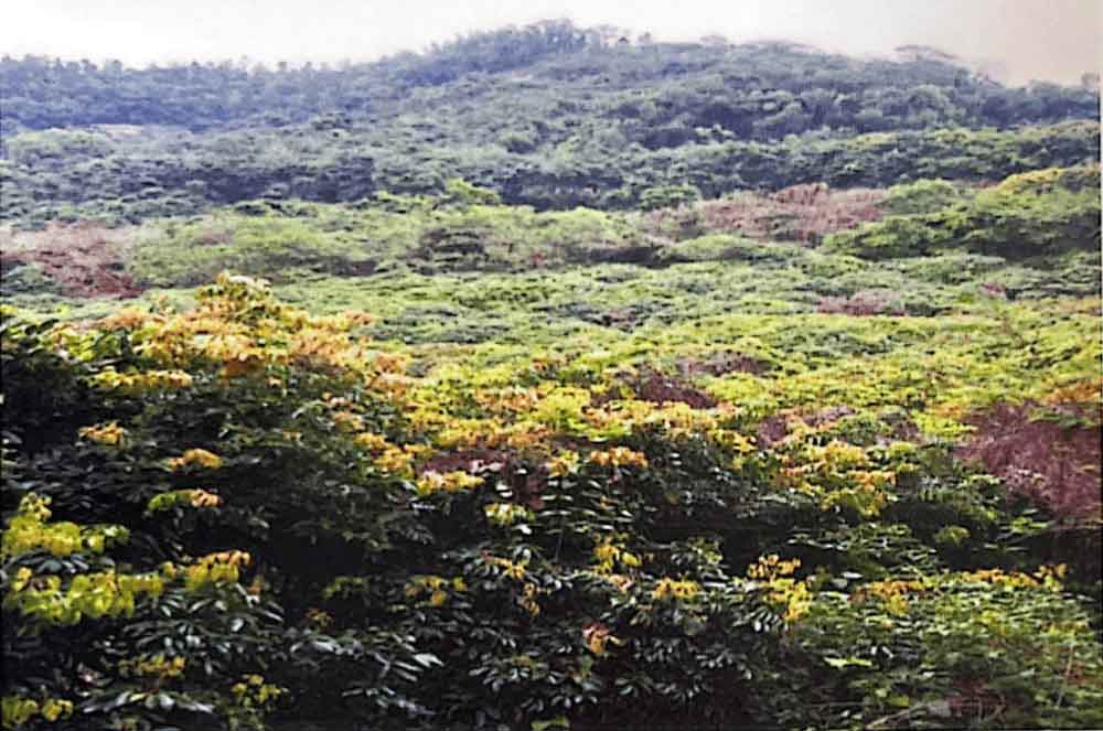 哲学家的最后一课